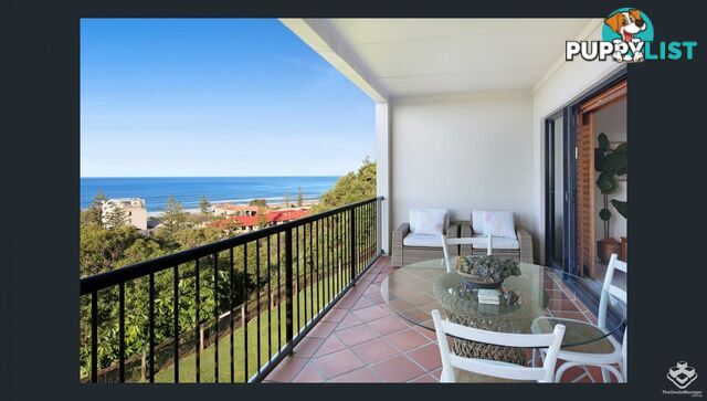 ID:21158462 1 Great Hall Drive Miami QLD 4220