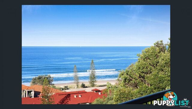 ID:21158462 1 Great Hall Drive Miami QLD 4220
