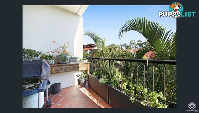 ID:21158462 1 Great Hall Drive Miami QLD 4220