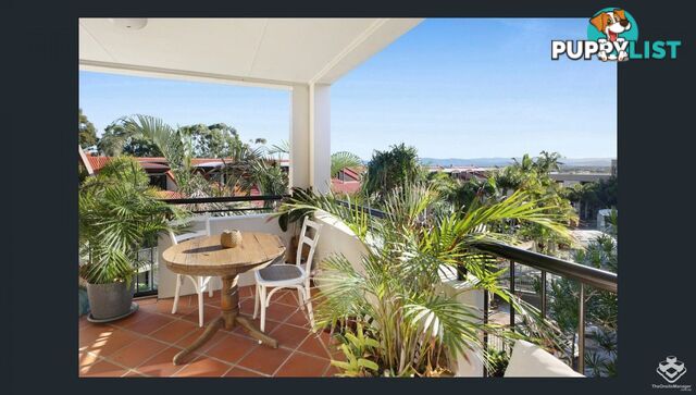 ID:21158462 1 Great Hall Drive Miami QLD 4220