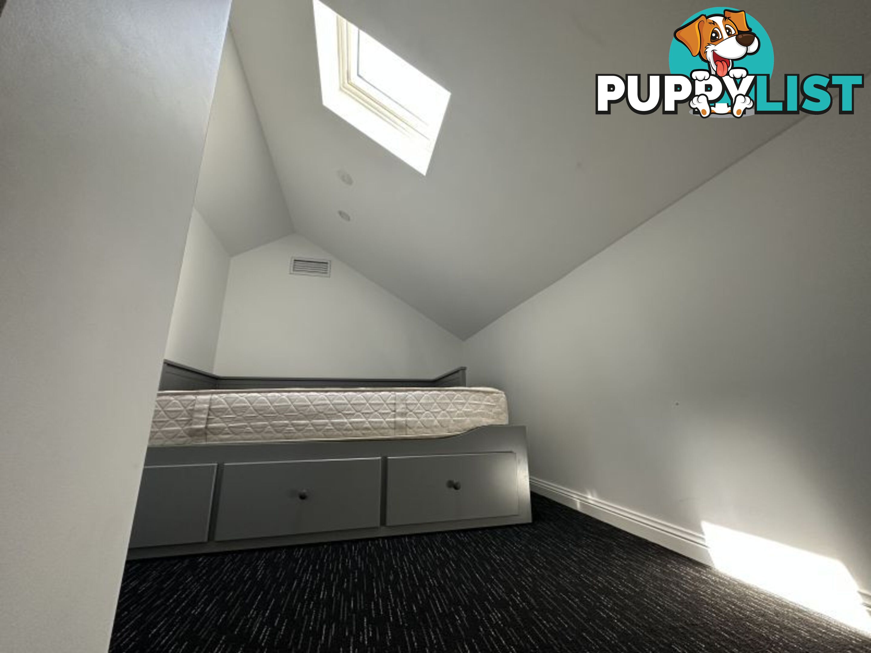 ID:21122022 93 Hunter Street Newcastle NSW 2300