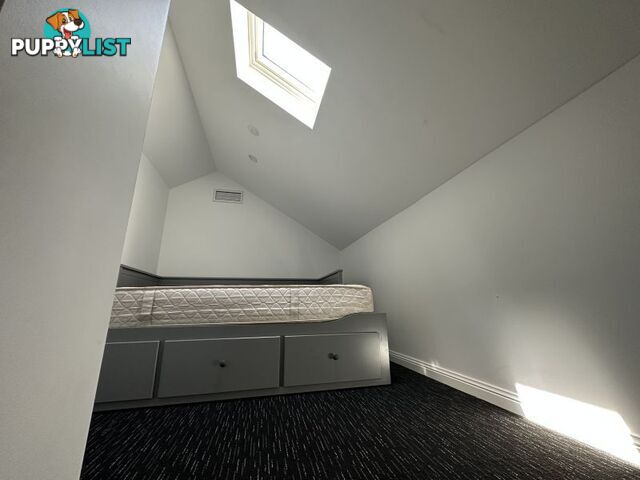 ID:21122022 93 Hunter Street Newcastle NSW 2300