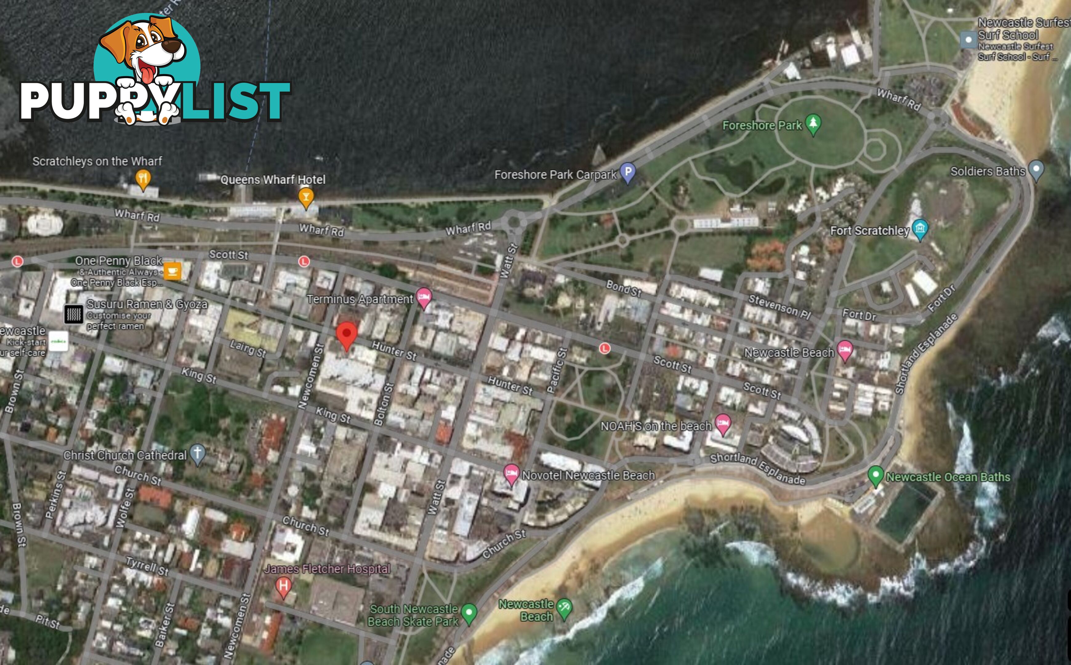 ID:21122022 93 Hunter Street Newcastle NSW 2300