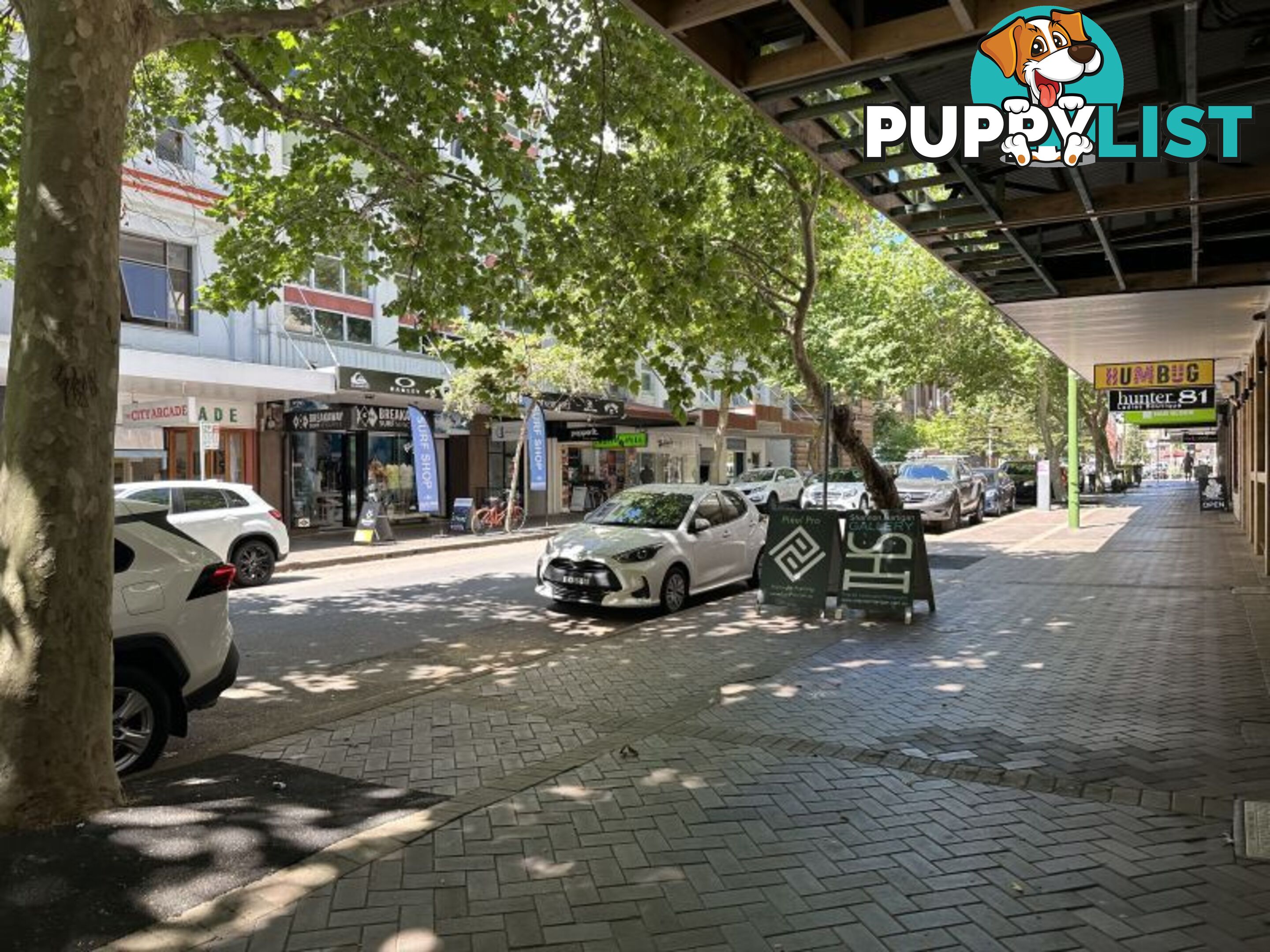 ID:21122022 93 Hunter Street Newcastle NSW 2300