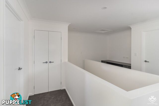 3/13 Bass Court Loganholme QLD 4129