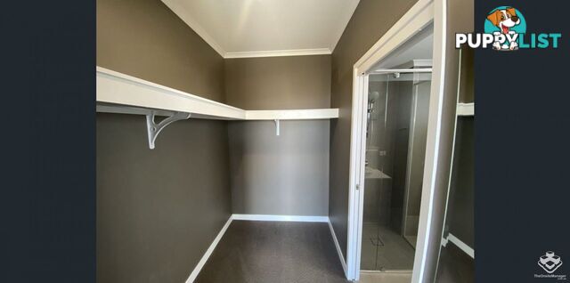 ID:3875827 440 Hamilton Road Chermside QLD 4032