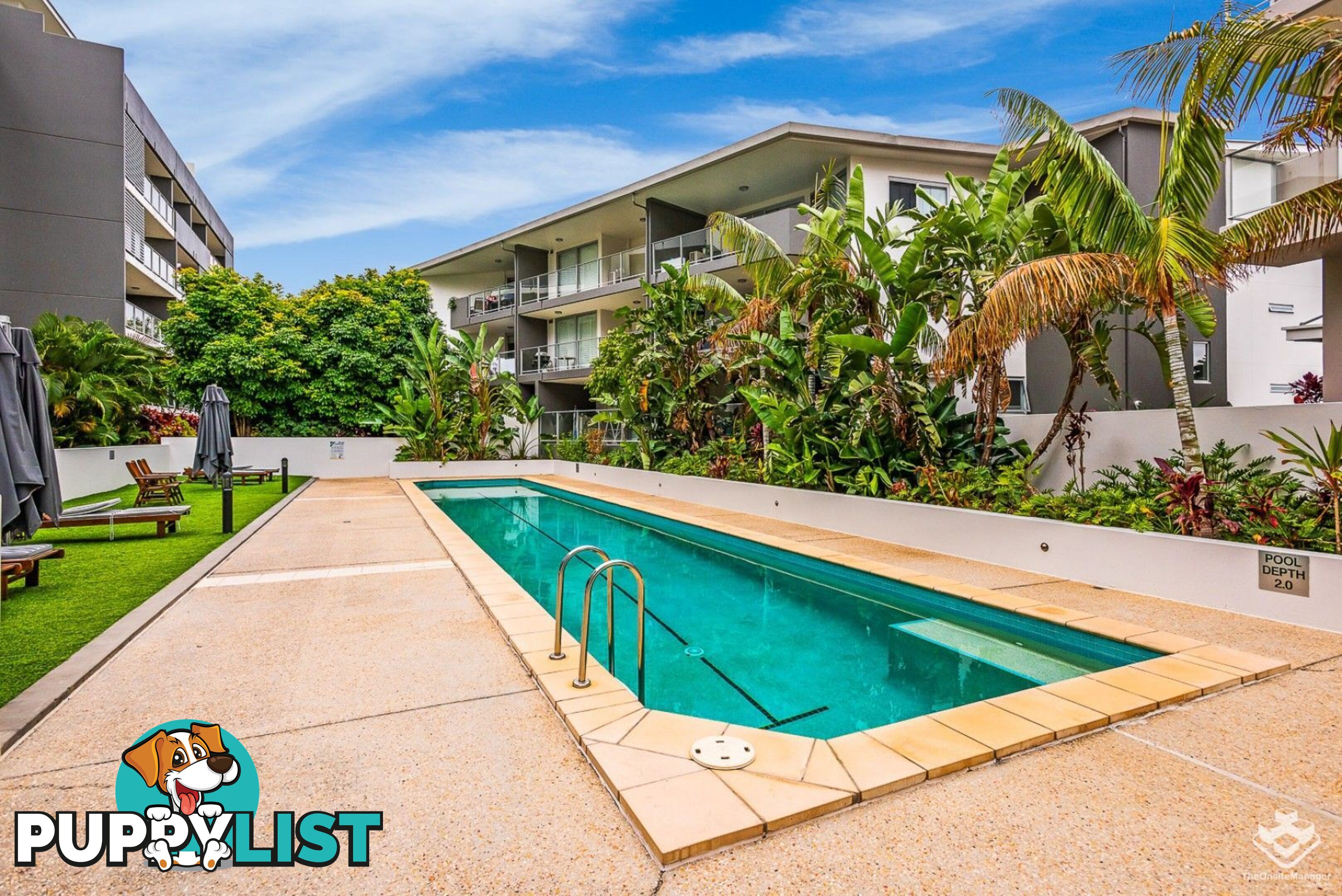 ID:21154247 95 Clarence Road Indooroopilly QLD 4068