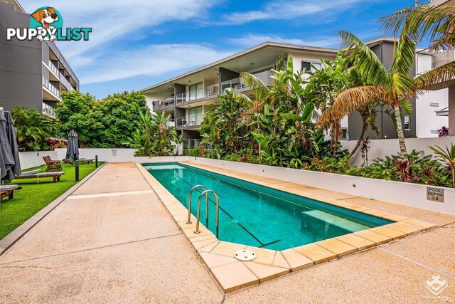 ID:21154247 95 Clarence Road Indooroopilly QLD 4068