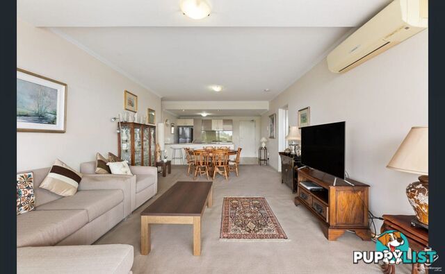 ID:21154247 95 Clarence Road Indooroopilly QLD 4068