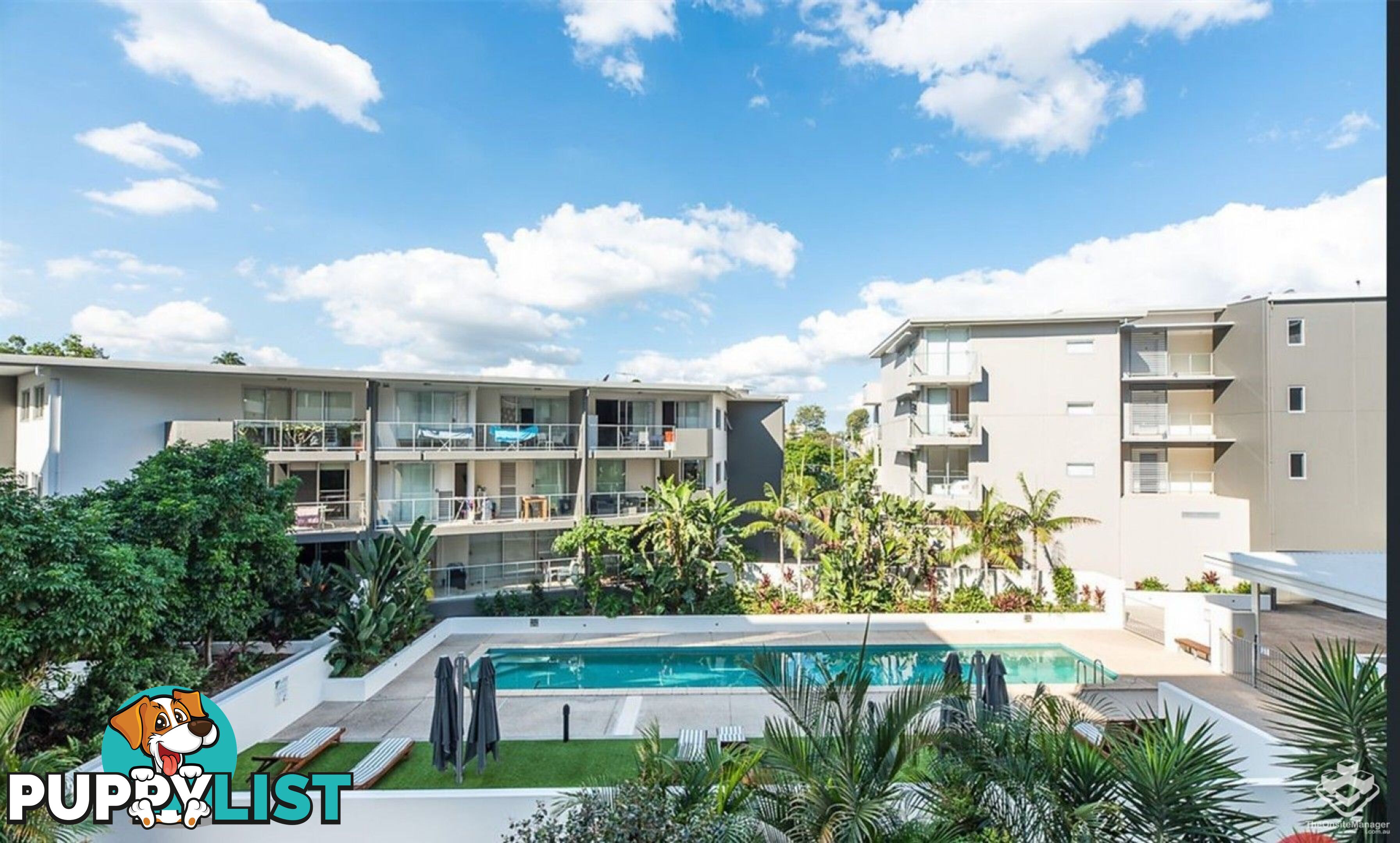 ID:21154247 95 Clarence Road Indooroopilly QLD 4068