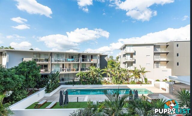 ID:21154247 95 Clarence Road Indooroopilly QLD 4068