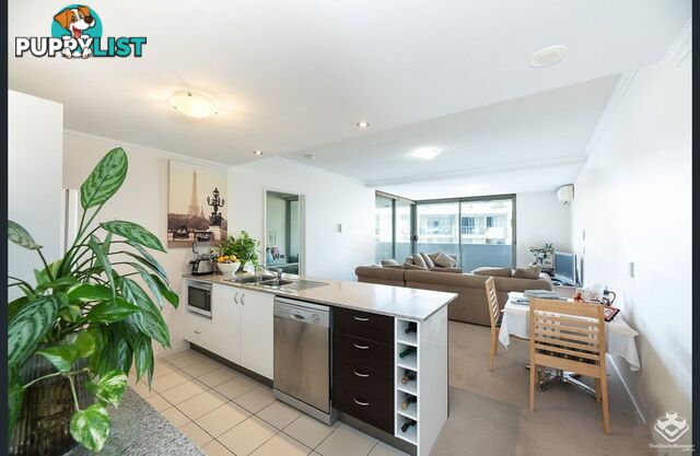 ID:21154247 95 Clarence Road Indooroopilly QLD 4068