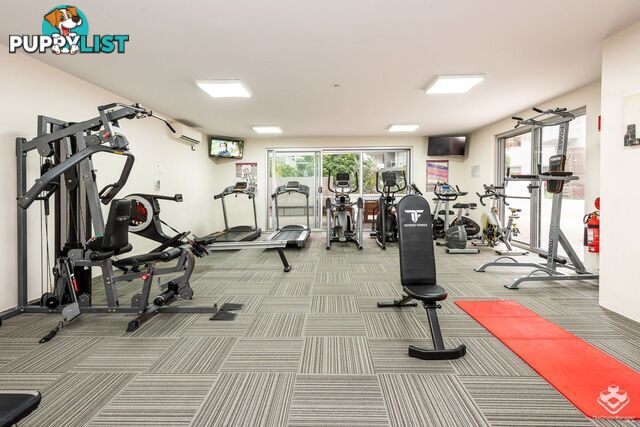 ID:21154247 95 Clarence Road Indooroopilly QLD 4068
