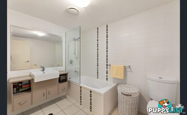 ID:21154247 95 Clarence Road Indooroopilly QLD 4068