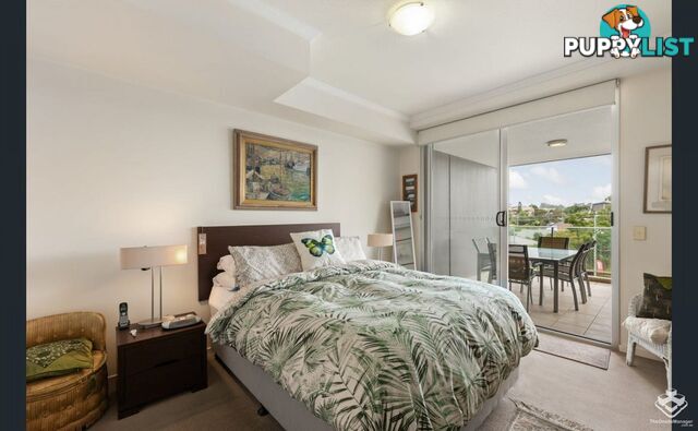 ID:21154247 95 Clarence Road Indooroopilly QLD 4068