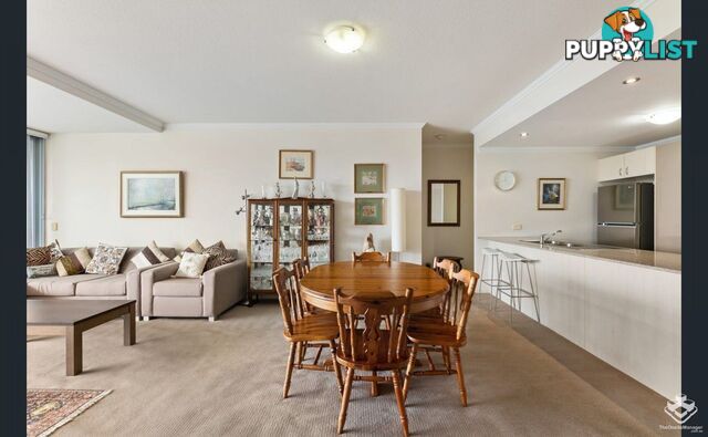 ID:21154247 95 Clarence Road Indooroopilly QLD 4068