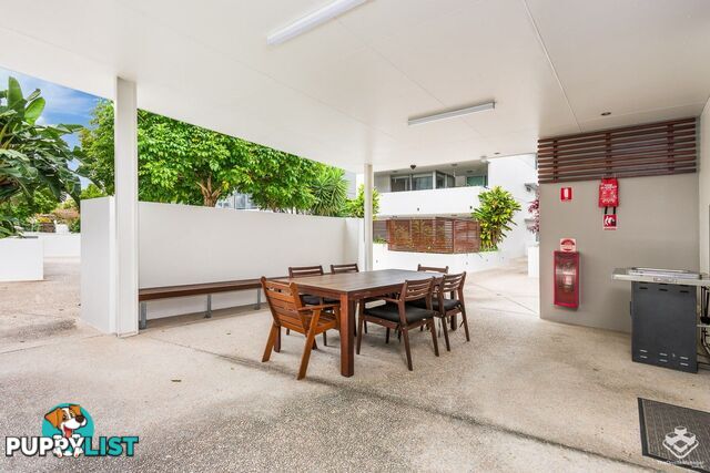 ID:21154247 95 Clarence Road Indooroopilly QLD 4068
