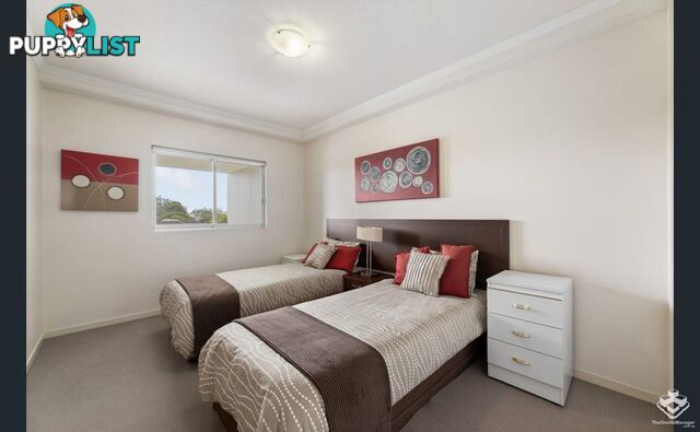ID:21154247 95 Clarence Road Indooroopilly QLD 4068