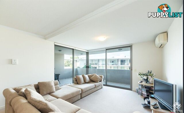ID:21154247 95 Clarence Road Indooroopilly QLD 4068