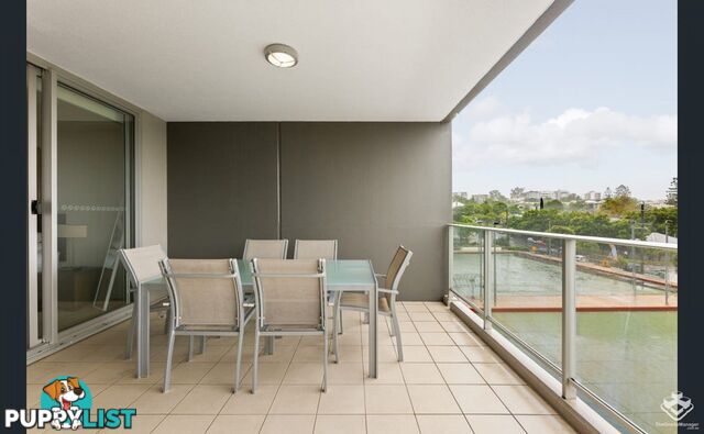 ID:21154247 95 Clarence Road Indooroopilly QLD 4068