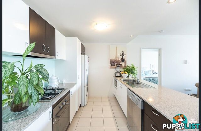 ID:21154247 95 Clarence Road Indooroopilly QLD 4068
