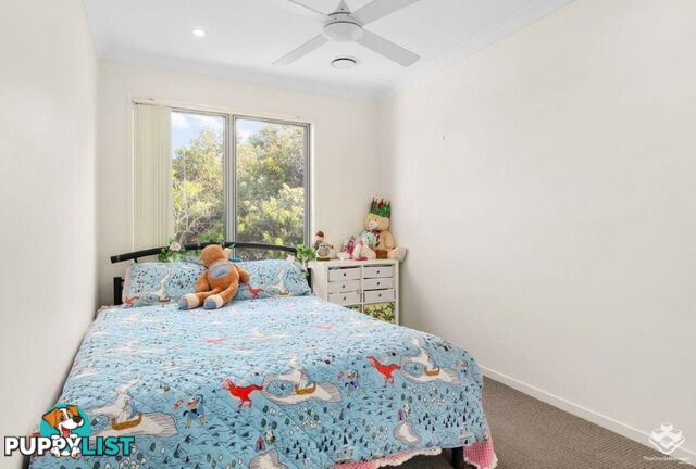 15/51 Lavender Drive Griffin QLD 4503