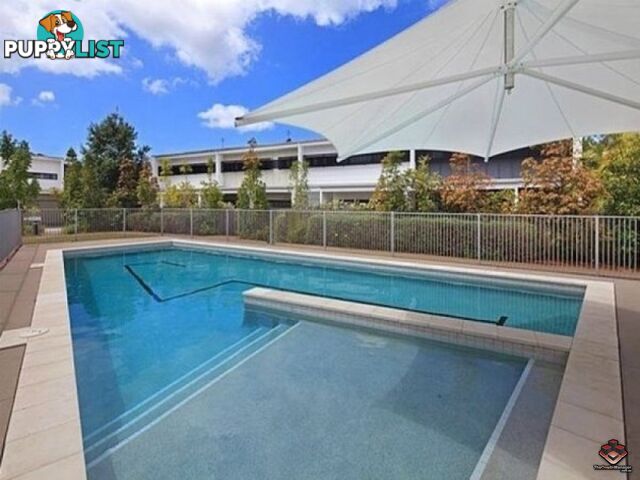 ID:3864283/7 Figbird Crescent Buderim QLD 4556