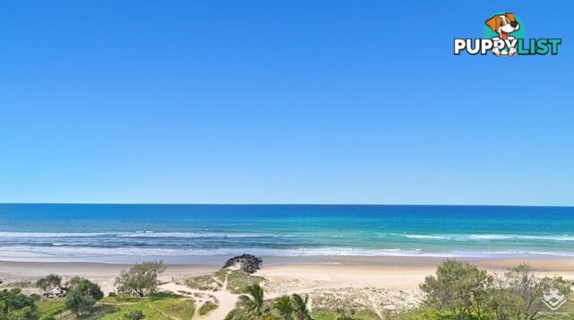 801/4 Twenty First Avenue Palm Beach QLD 4221