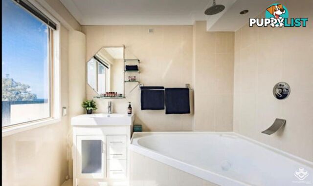 39 Hill Avenue Burleigh Heads QLD 4220