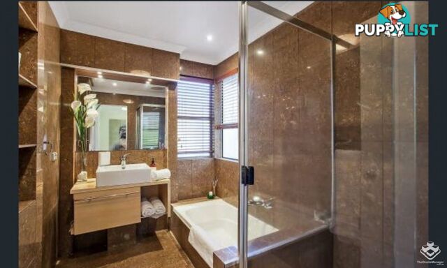 39 Hill Avenue Burleigh Heads QLD 4220