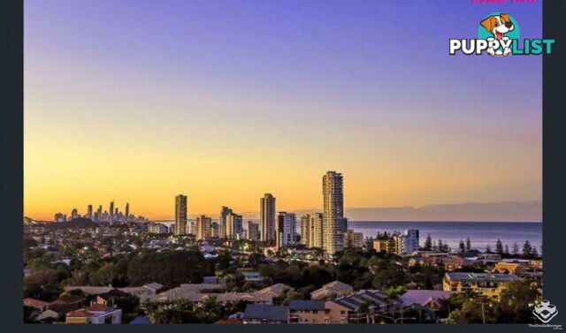 39 Hill Avenue Burleigh Heads QLD 4220