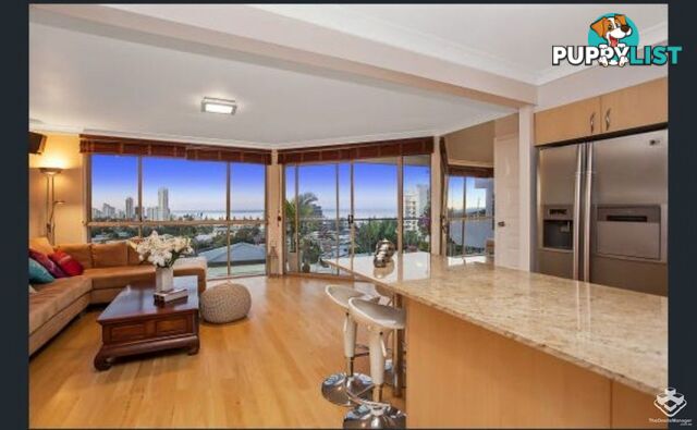 39 Hill Avenue Burleigh Heads QLD 4220
