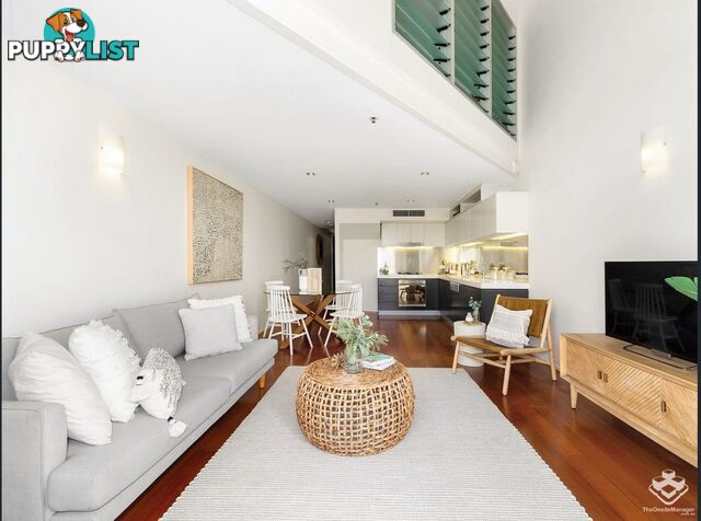 ID:21155200 36 Vernon Terrace Teneriffe QLD 4005