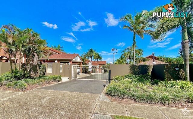 ID:21156876 60 Whitby Street Southport QLD 4215