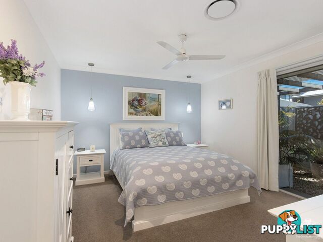 8 Field Street Helensvale QLD 4212