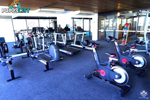 ID:21154462 19 Hope Street South Brisbane QLD 4101