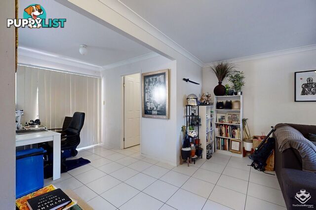 ID:21146656 130 Rockfield Road Doolandella QLD 4077