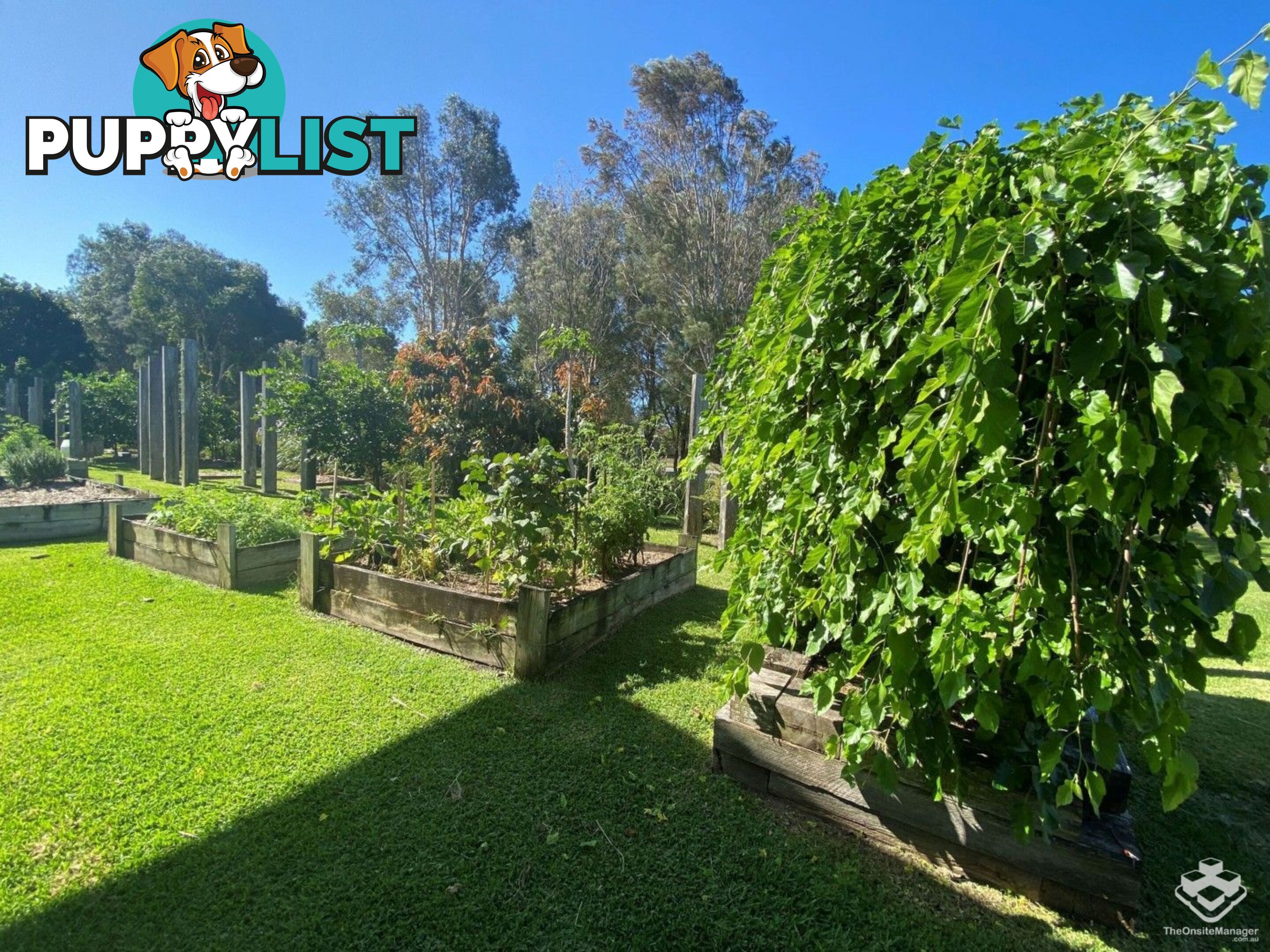 43/2 Inland Drive Tugun QLD 4224