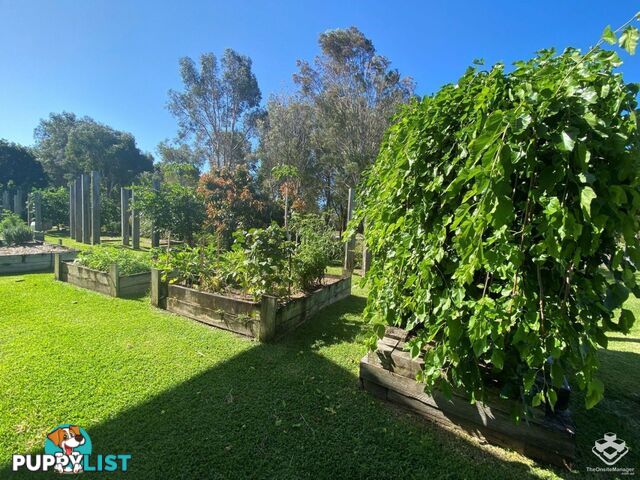 43/2 Inland Drive Tugun QLD 4224