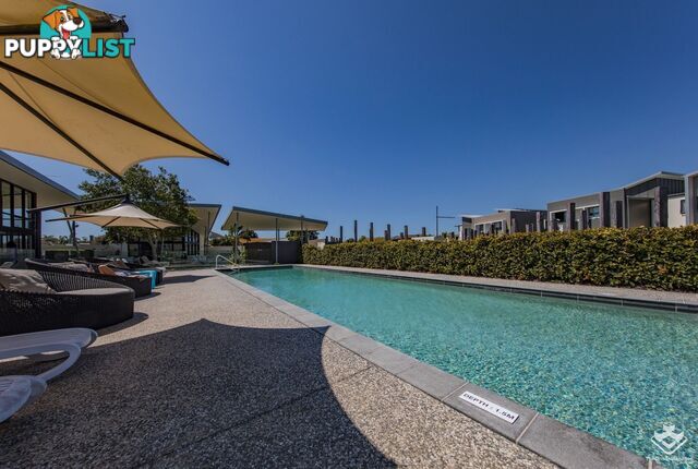 43/2 Inland Drive Tugun QLD 4224