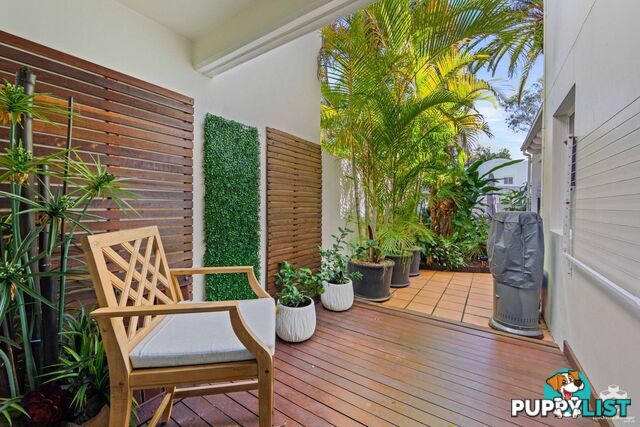 ID:21154943 100 Cotlew Street East Southport QLD 4215