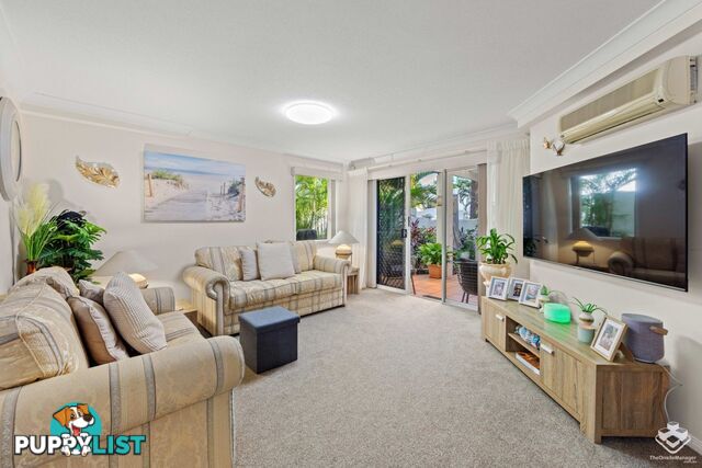 ID:21154943 100 Cotlew Street East Southport QLD 4215
