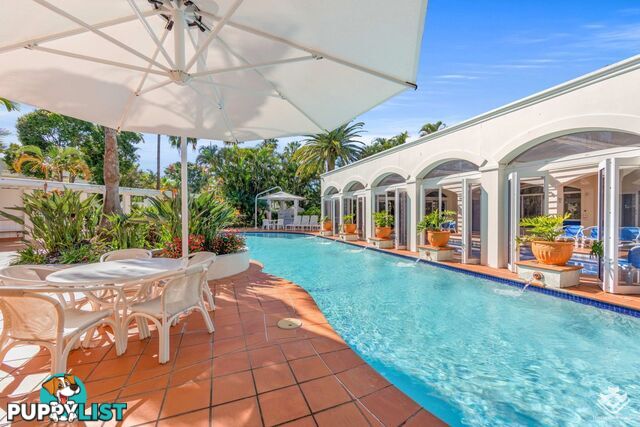ID:21154943 100 Cotlew Street East Southport QLD 4215