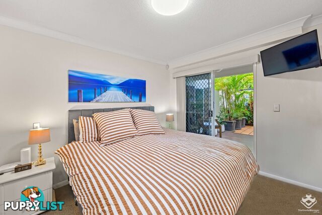 ID:21154943 100 Cotlew Street East Southport QLD 4215