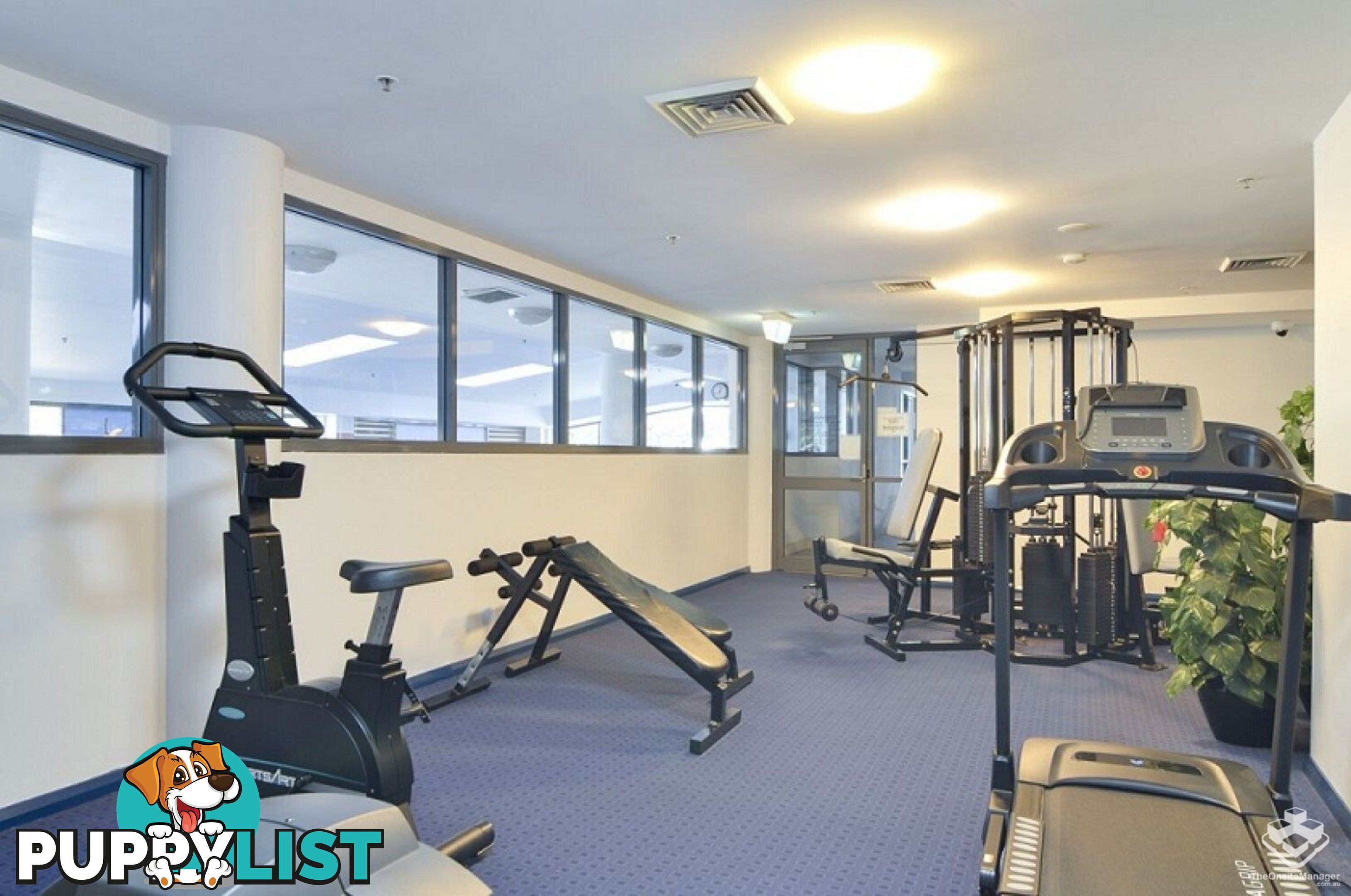 119/6-10 Romsey Street Waitara NSW 2077
