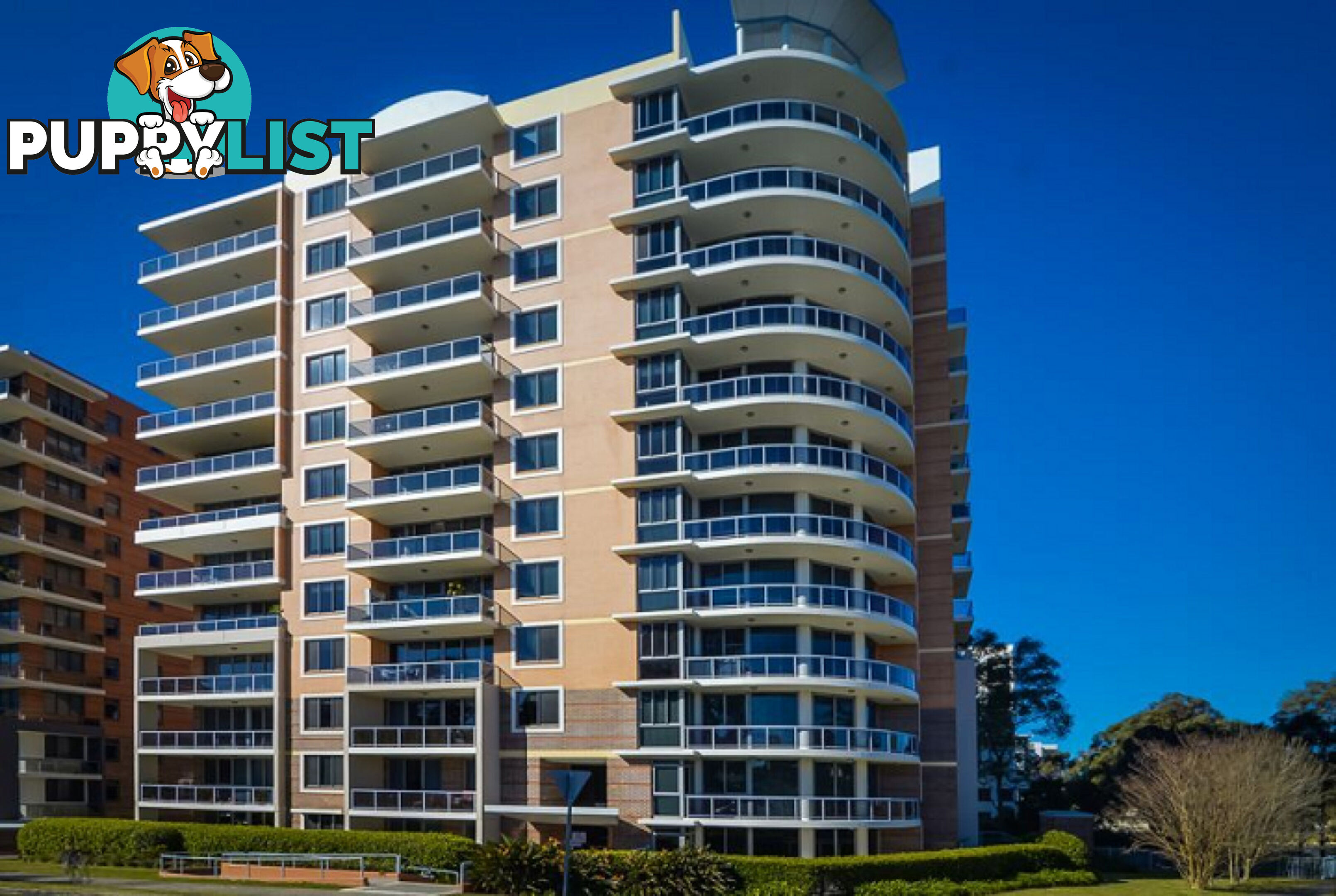 119/6-10 Romsey Street Waitara NSW 2077