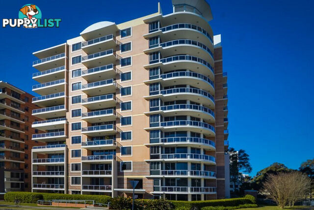 119/6-10 Romsey Street Waitara NSW 2077
