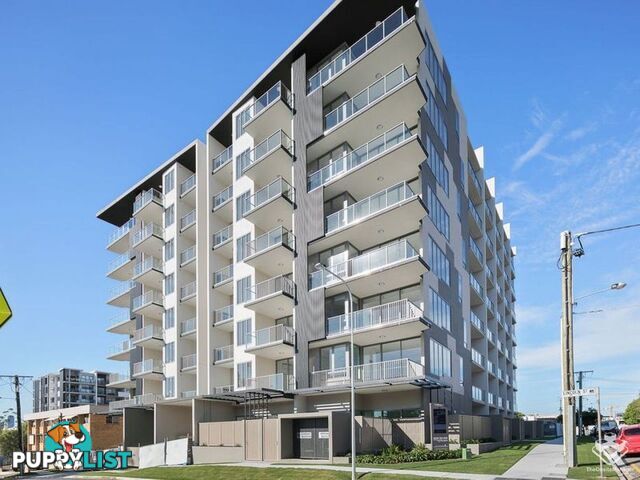 L6/54 Lincoln Street Greenslopes QLD 4120