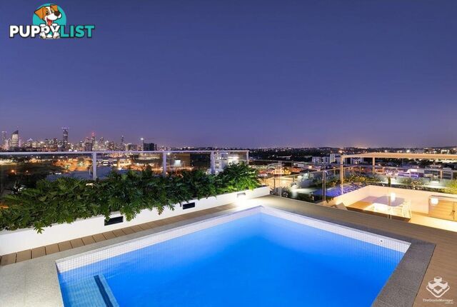 L6/54 Lincoln Street Greenslopes QLD 4120