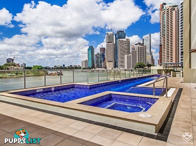 ID:21154626 82 Boundary Street Brisbane City QLD 4000